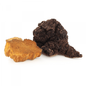 chaga_cl.png