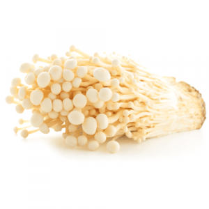 enoki_cl.png