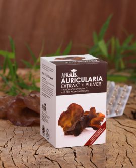 Auricularia Extrakt+Pulver