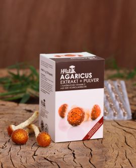 Agaricus (ABM) Extrakt+Pulver