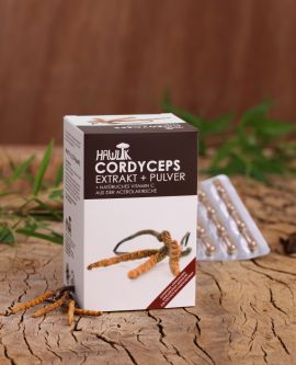 Cordyceps Extrakt+Pulver