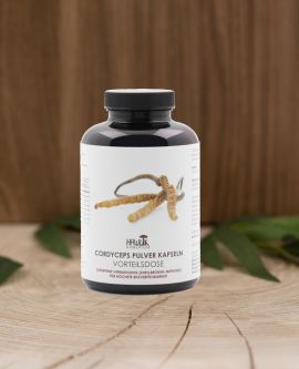 Cordyceps Pulver Kapseln