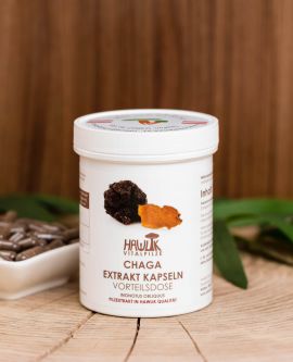 Chaga Extrakt