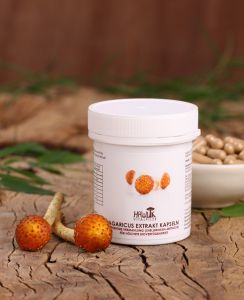 Agaricus (ABM) Extrakt 60 Stk.