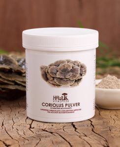 Coriolus Pulver 100g