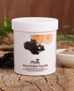 Polyporus Pulver 100g