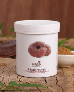 Reishi Pulver 100g