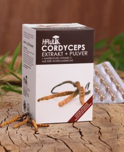 Cordyceps Extrakt+Pulver 120 Stk.