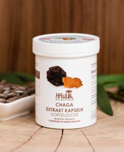 Chaga Extrakt Vorteilsdose 240 Stk.